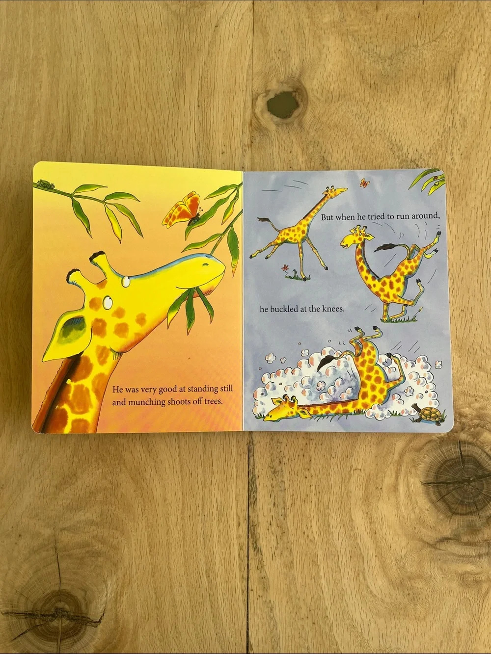 Beloved Board Book Collection
